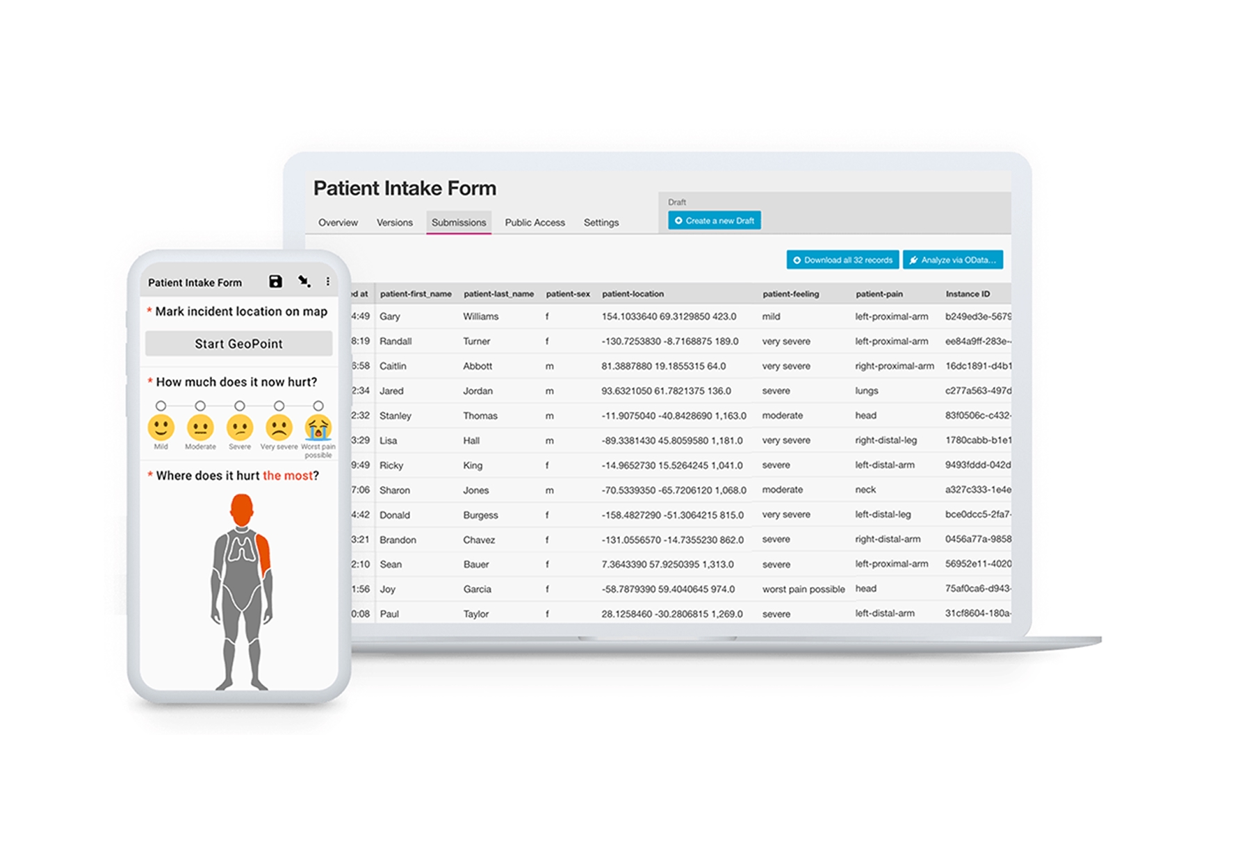 ODK Collect interface
